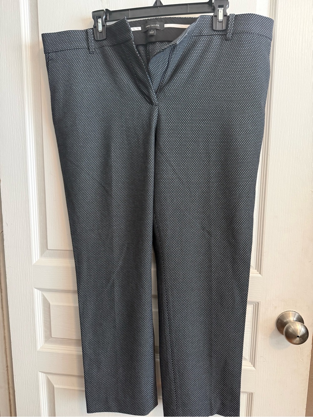 Ann Taylor Dark Blue & White Microdot Dress Trousers
